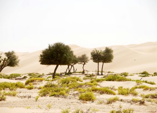Oman