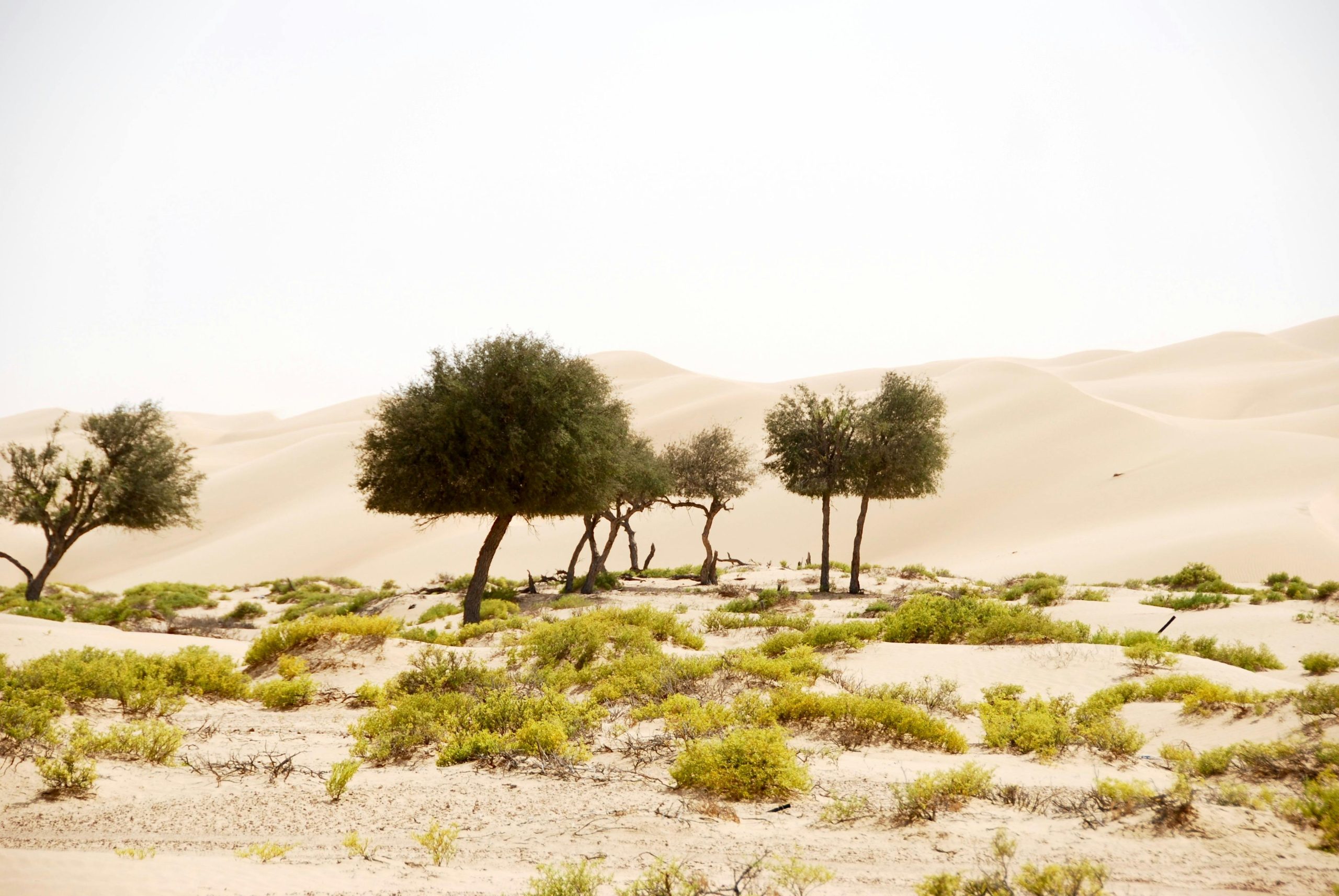 Oman
